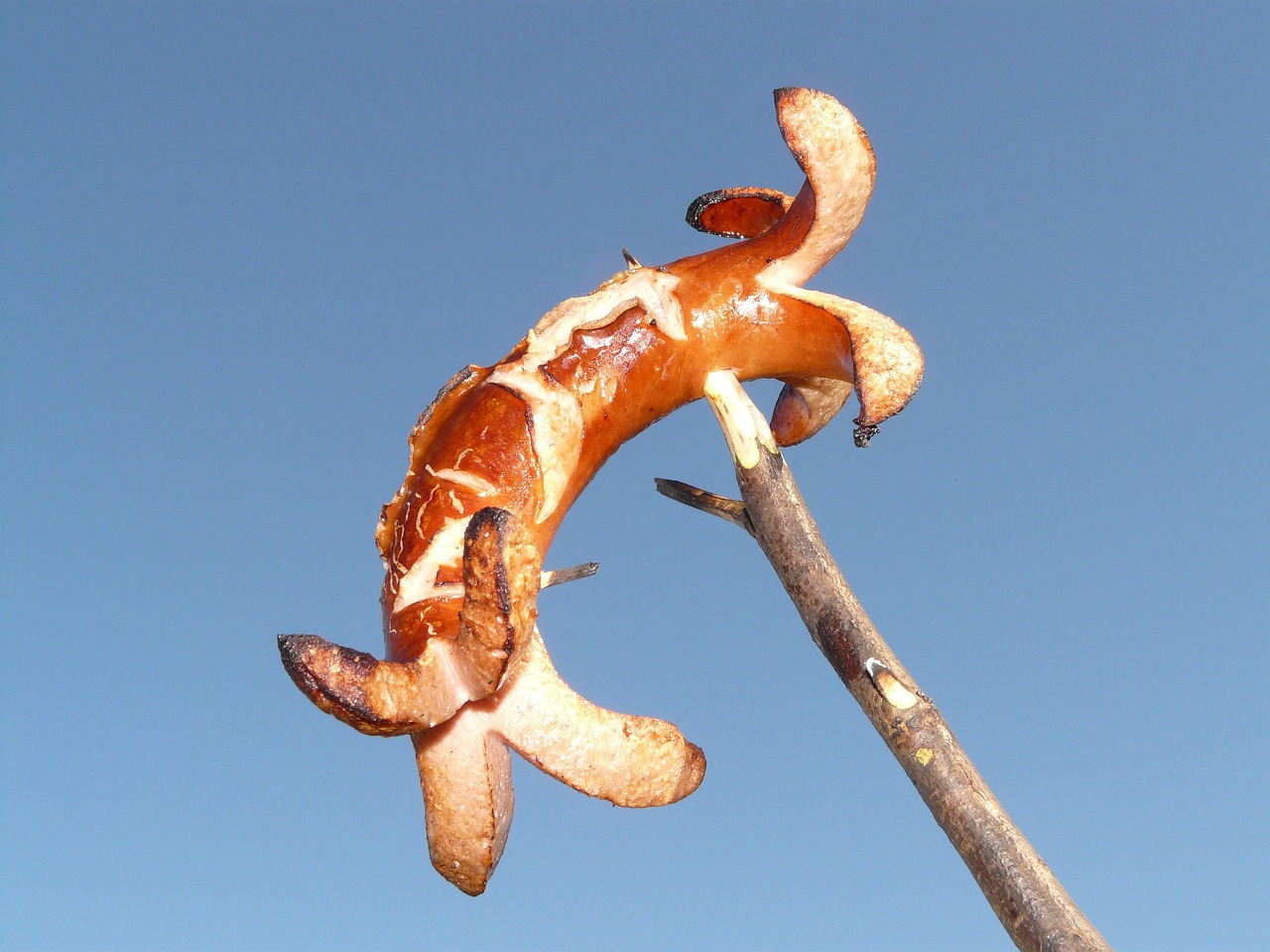human dna food supply burgers hotdogs