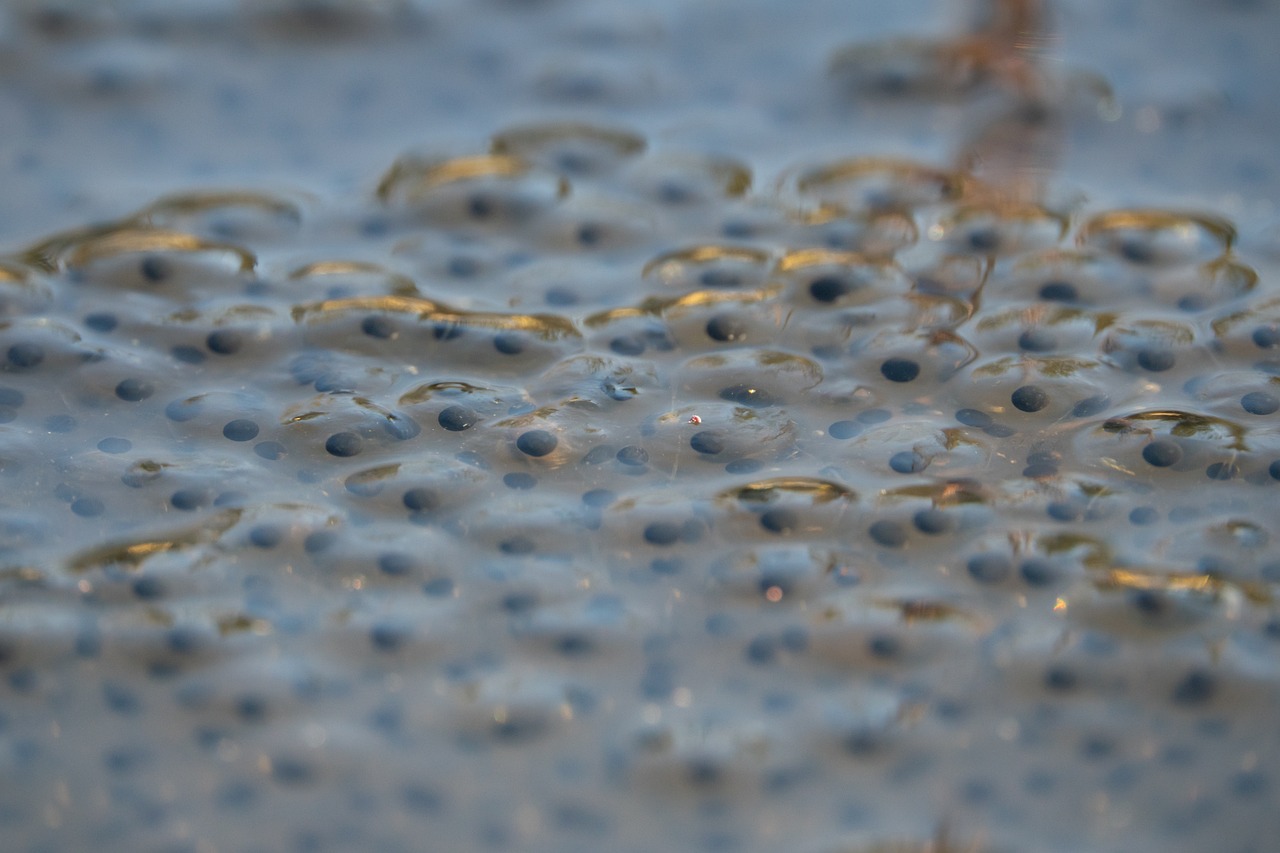 machine world civilization spawns westworld clones nano assimilates human helpers