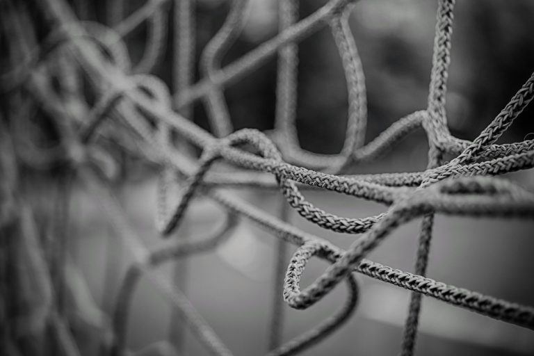 Stargate Project Unveiled: 500 Billion Data Center Empire Threatens Freedom