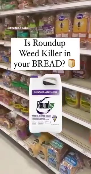 what’s in your wonder bread ?