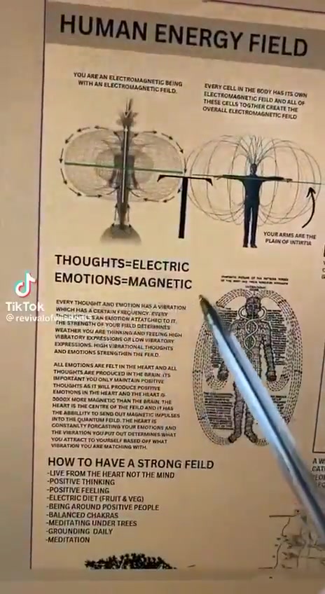 the human energy field is deeply affected by 5G….
