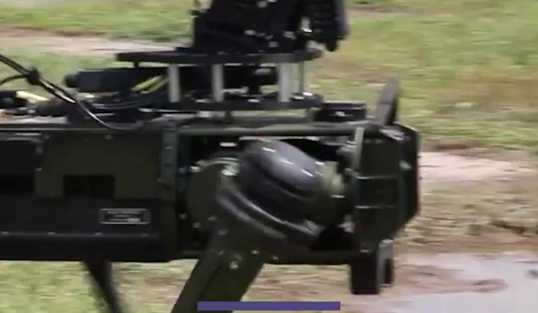 ghost robotics specializes in modifying robot tech for milit