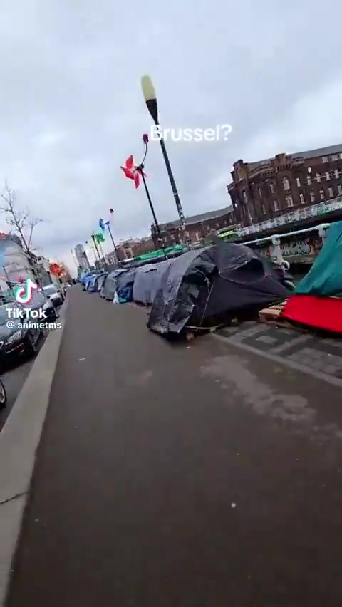 brussels becomes mega migrant camp as immigration explodes….