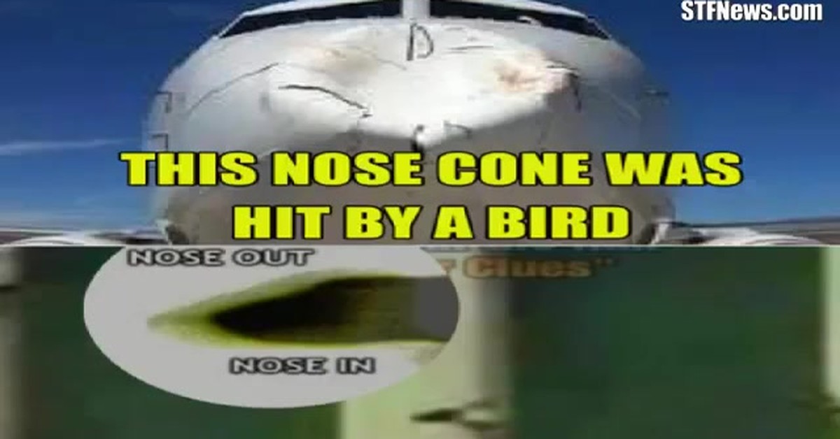 BELIEVE YOUR OWN EYES – 9/11 – NO PLANES